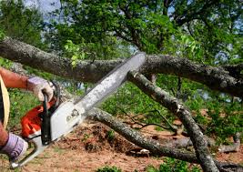 Best Emergency Tree Removal  in Butler, WI